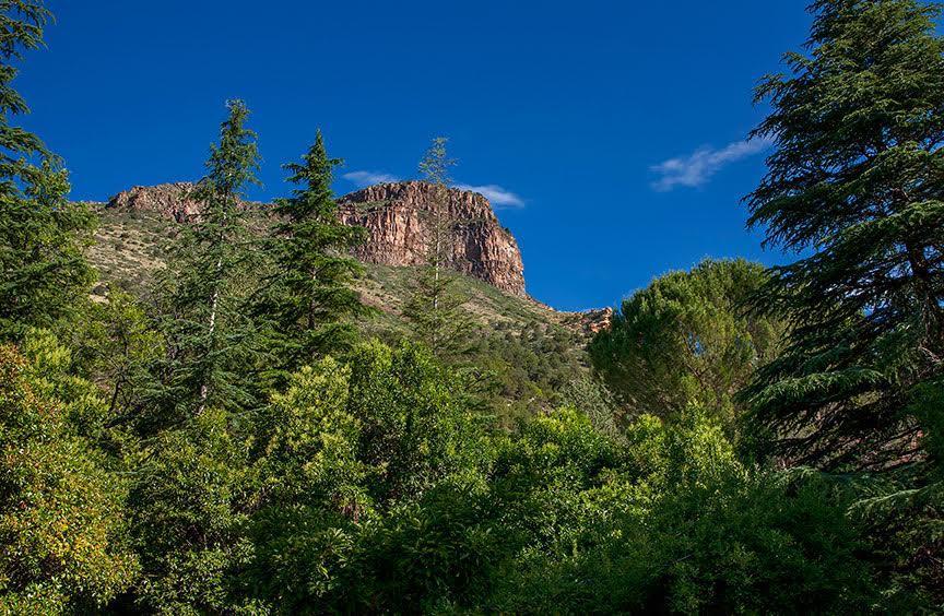 Briar Patch Inn Sedona Buitenkant foto